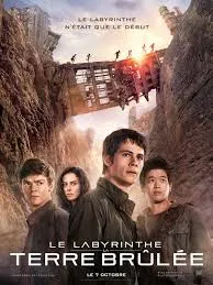 Le Labyrinthe : La Terre brûlée (2014)